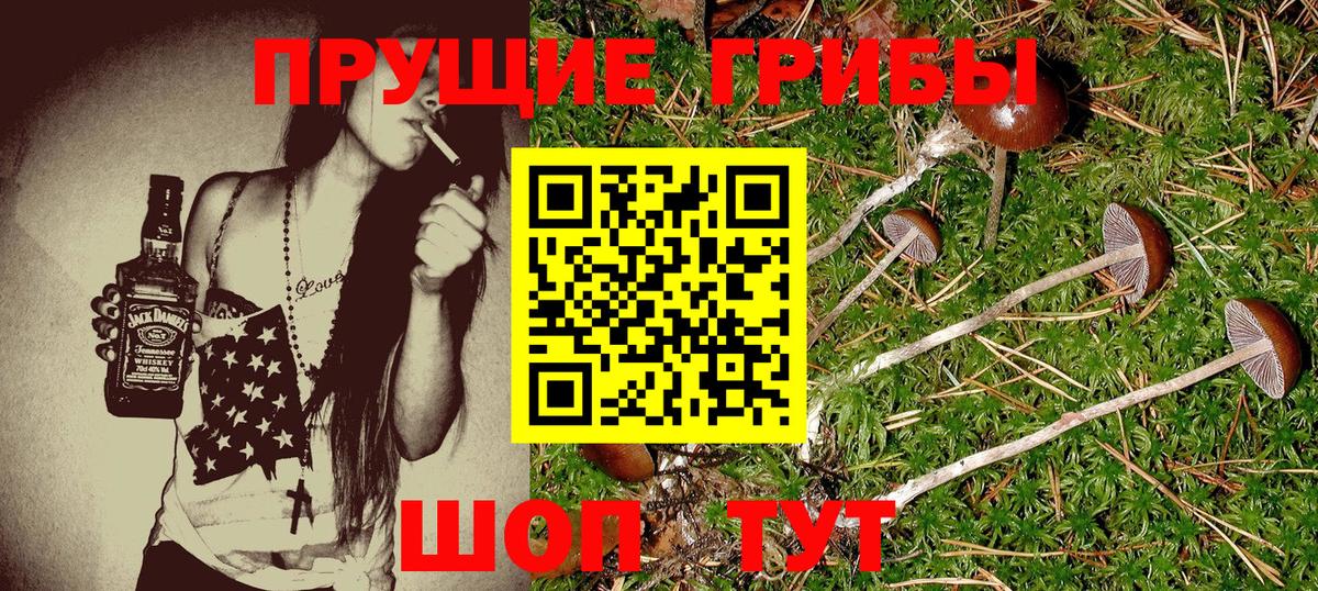 Наро-Фоминск  Галлюциногенные грибы MAGIC MUSHROOMS  Галлюциногенные грибы мицелий  Вход с VPN 