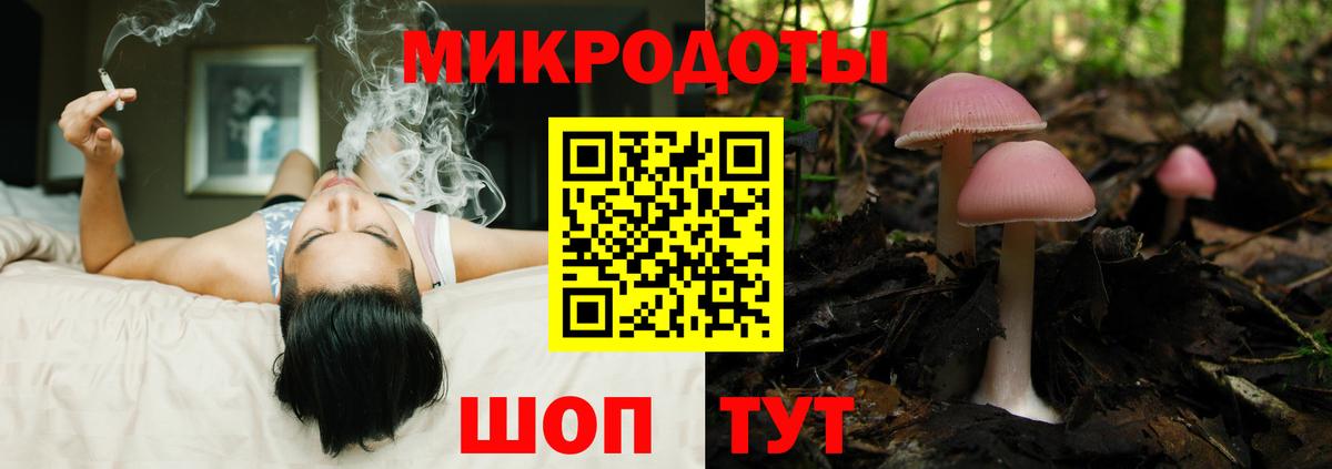 Псилоцибиновые грибы Psilocybine cubensis Наро-Фоминск